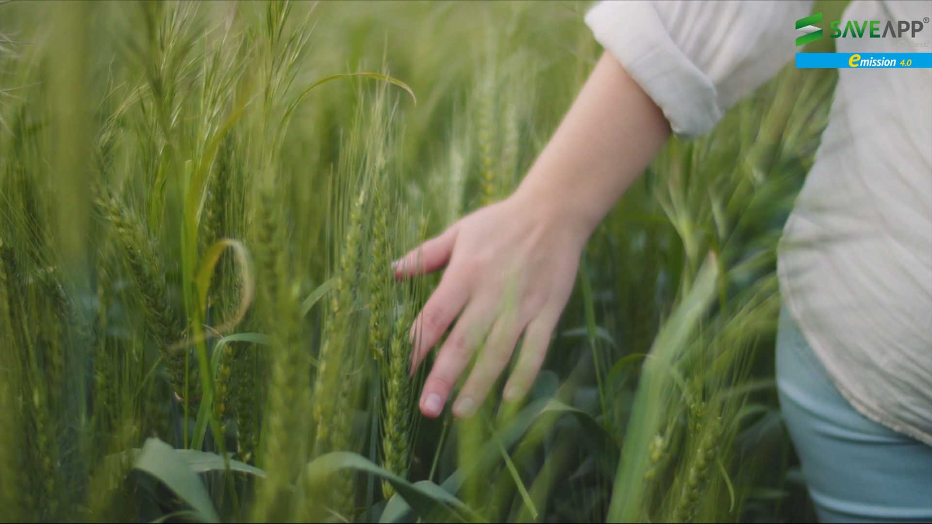 emission 4.0 thumbnail